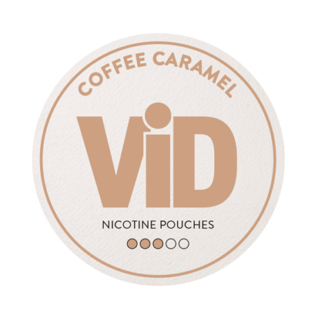 Rich results on Google's SERP when searching for 'VID Coffee Caramel Slim'