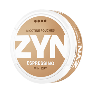 Rich results on Google's SERP when searching for 'ZYN Espressino Mini Dry 6mg'