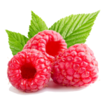 Raspberry
